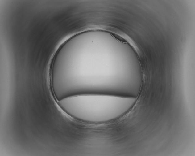 X0000110981143200906191045