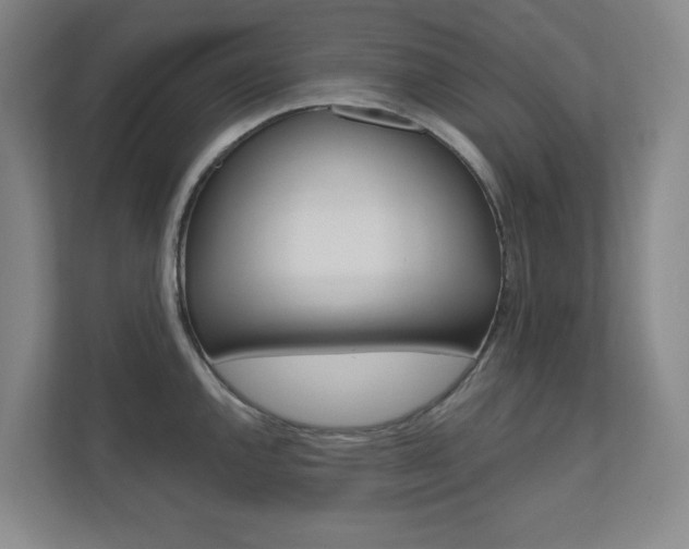 X0000110981144200906191045