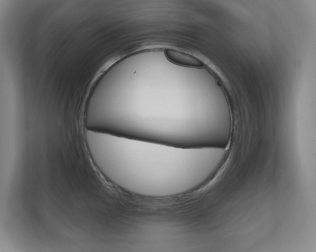 X0000110981145200906191045