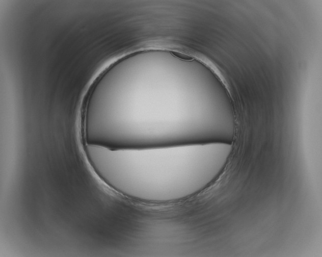 X0000110981147200906191045