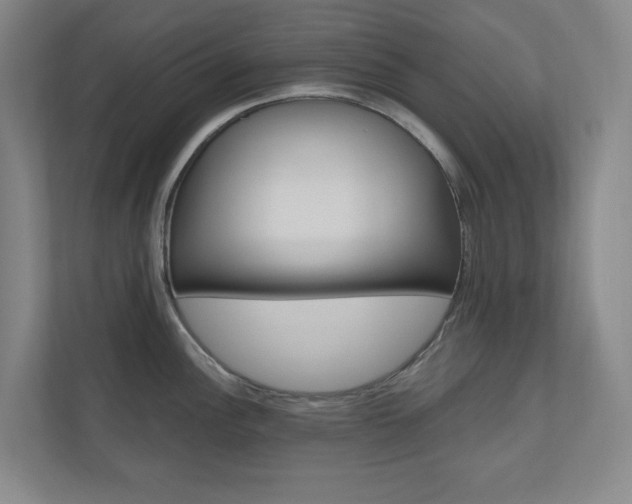 X0000110981148200906191045