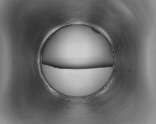 X0000110981149200906191045