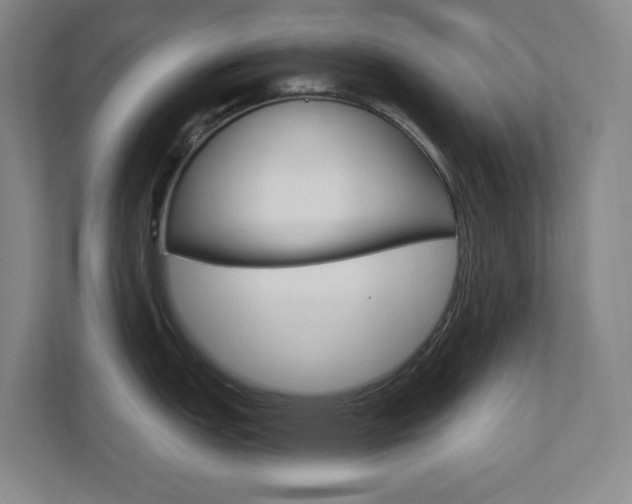 X0000110981151200906191045