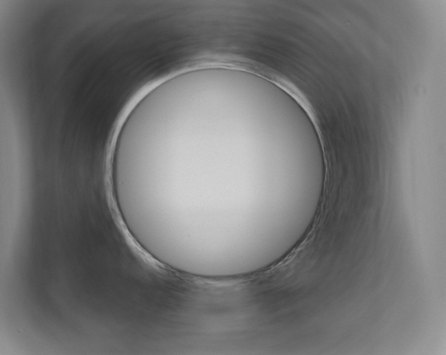 X0000110981152200906191045
