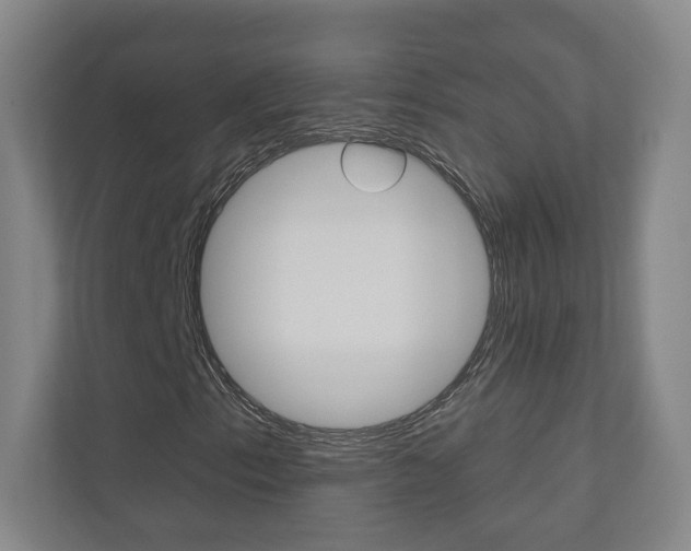 X0000110981153200906191044