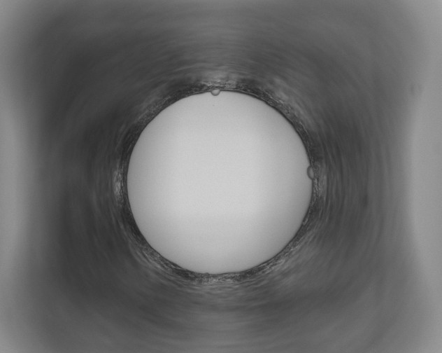X0000110981154200906191044