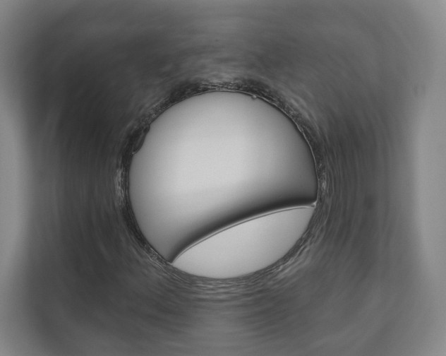 X0000110981156200906191044
