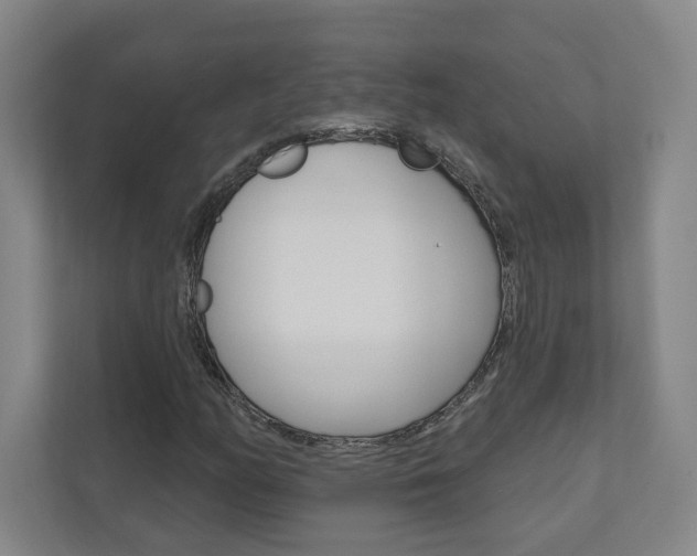 X0000110981158200906191044