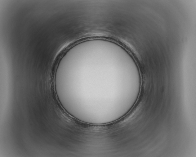 X0000110981163200906191044