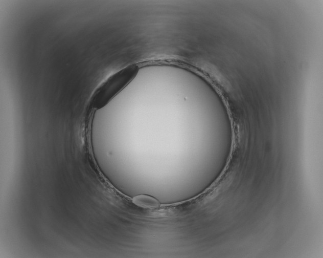 X0000110981165200906191044