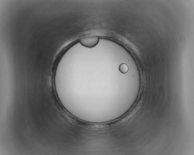 X0000110981166200906191044