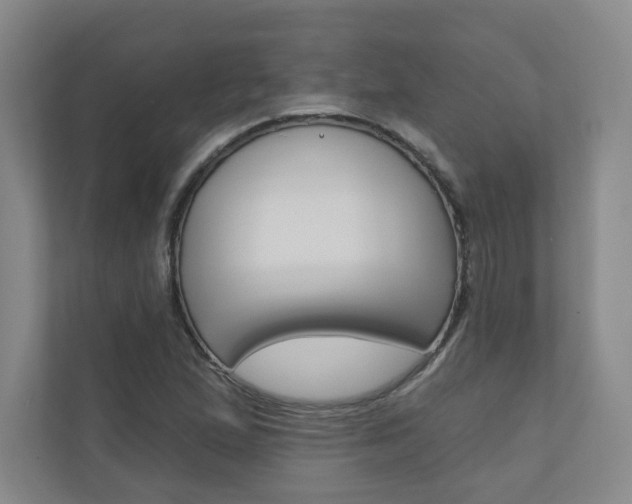 X0000110981167200906191044