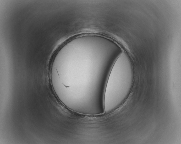 X0000110981168200906191044