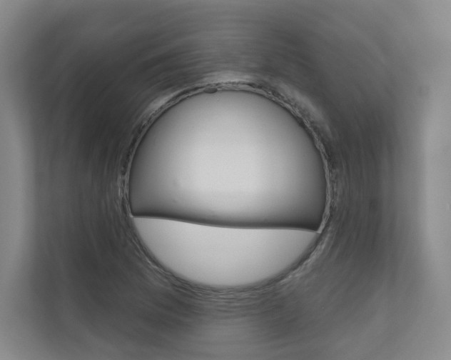 X0000110981169200906191044