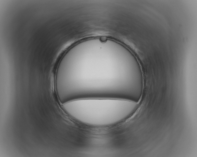 X0000110981171200906191044