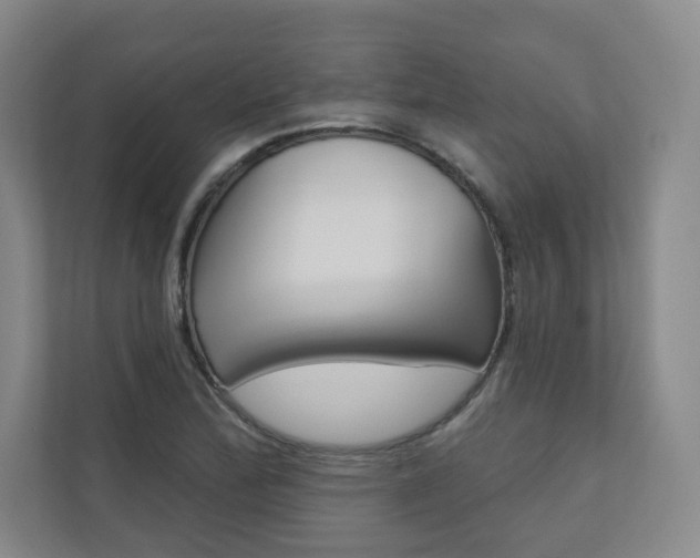 X0000110981172200906191044