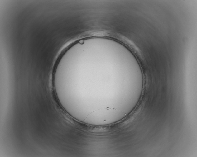 X0000110981174200906191044