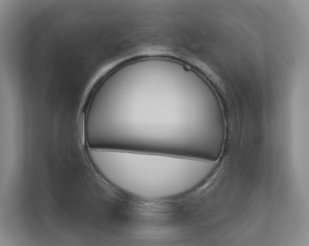 X0000110981175200906191044