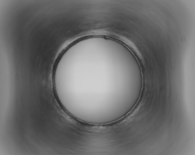 X0000110981176200906191044