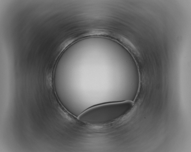 X0000110981177200906191044