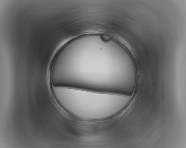 X0000110981179200906191044