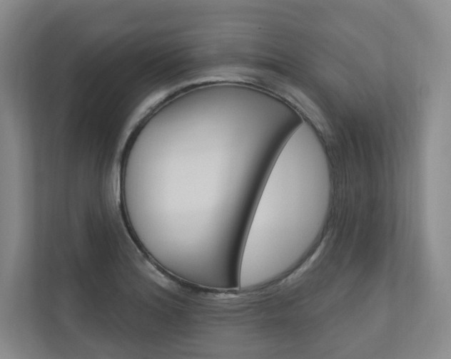 X0000110981180200906191044