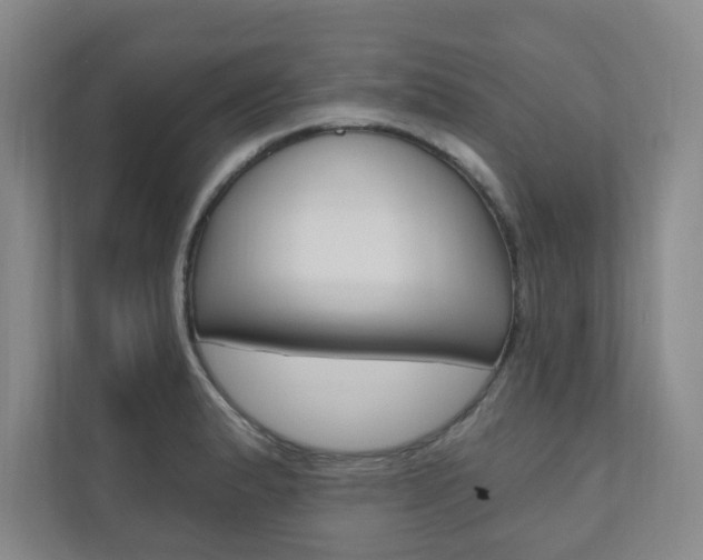 X0000110981183200906191044