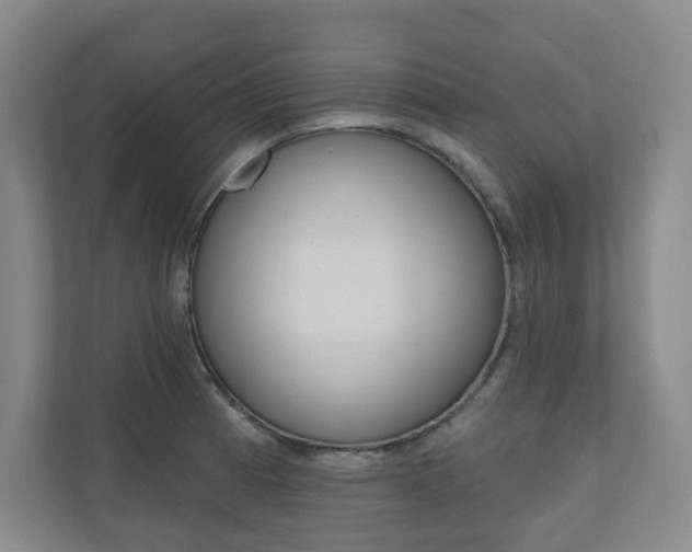 X0000110981185200906191044