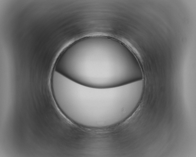 X0000110981189200906191044
