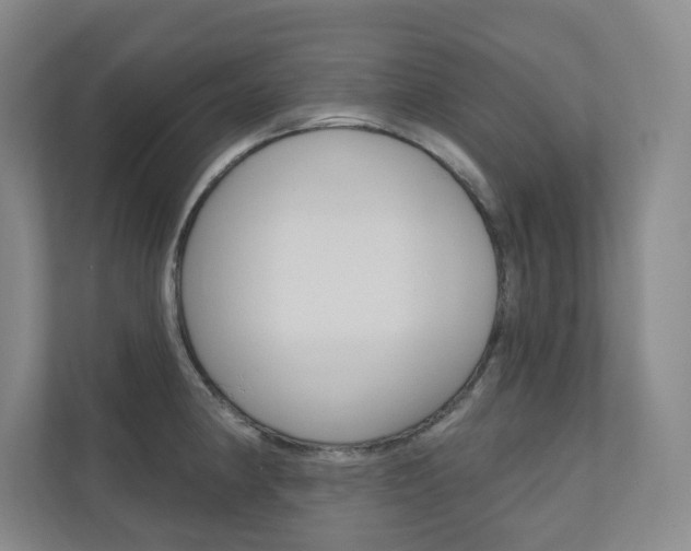 X0000110981190200906191044