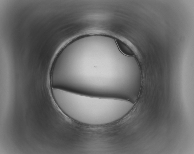 X0000110981191200906191044