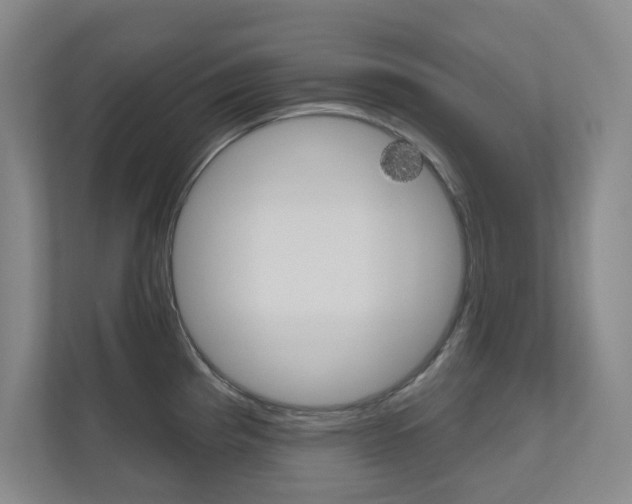 X0000110981193200906191044