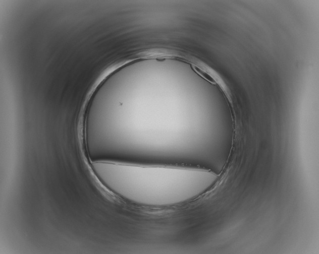 X0000110981195200906191044