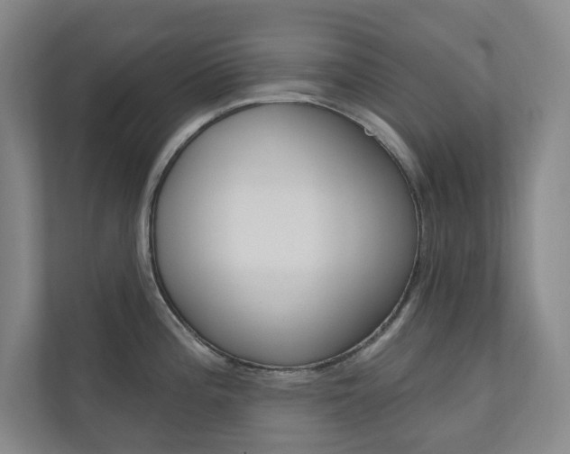 X0000110981196200906191044
