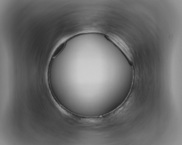 X0000110981197200906191044