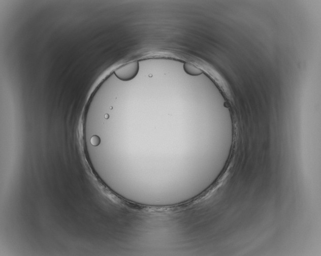 X0000110981198200906191044