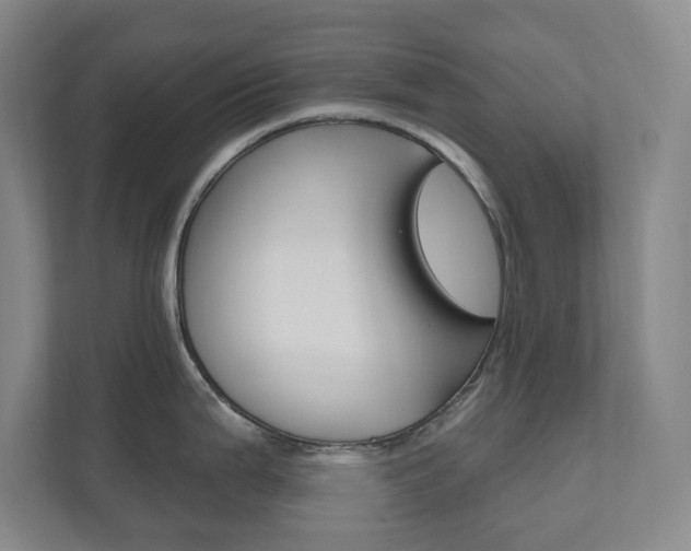 X0000110981199200906191044