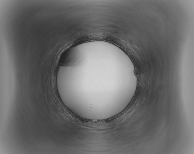 X0000110981201200906191043