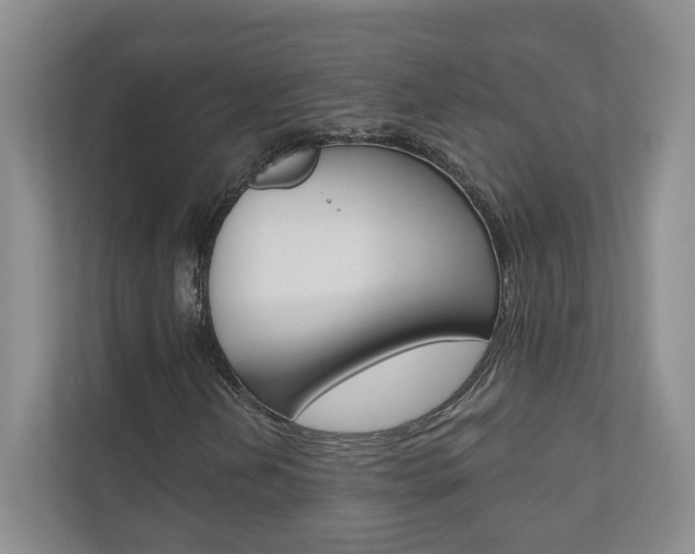 X0000110981202200906191043