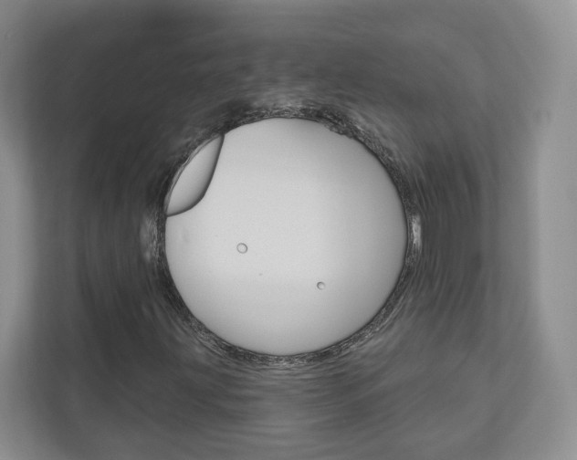 X0000110981203200906191043