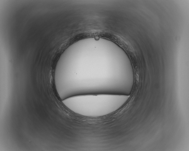 X0000110981204200906191043