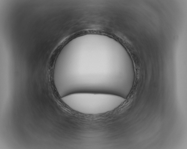 X0000110981208200906191043