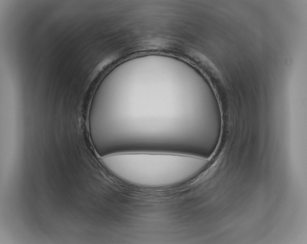 X0000110981210200906191043