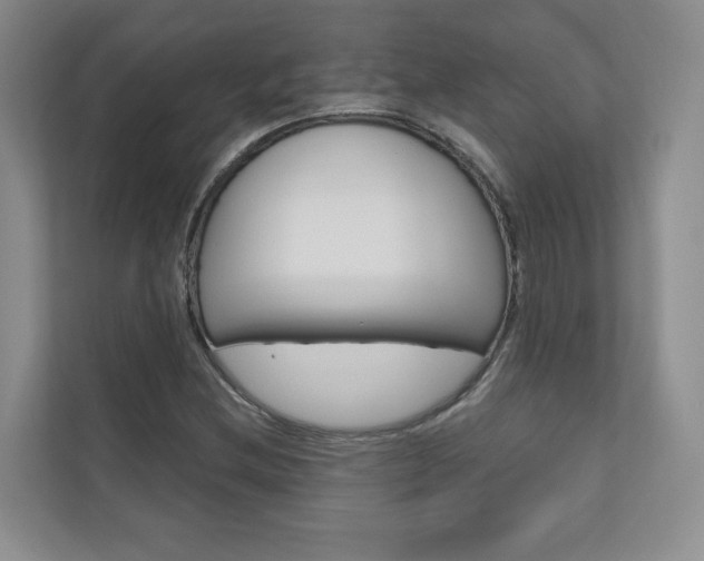 X0000110981212200906191043