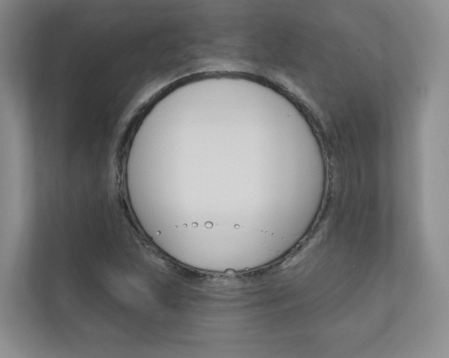 X0000110981215200906191043