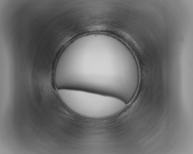 X0000110981217200906191043