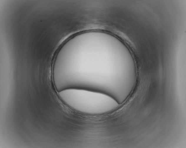 X0000110981220200906191043