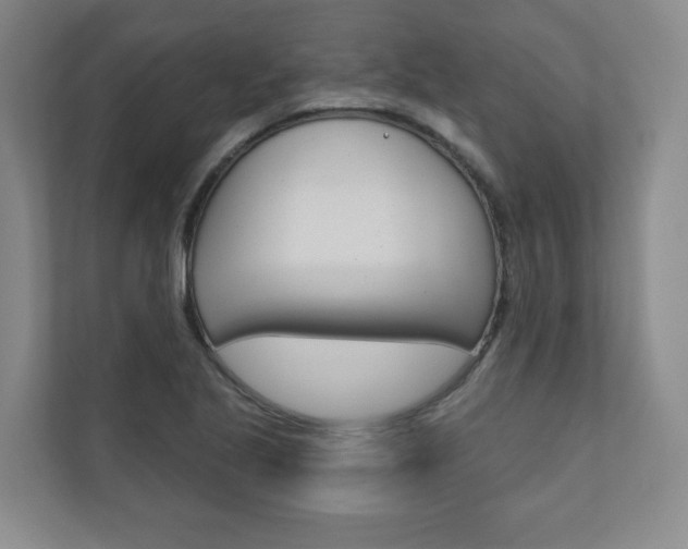 X0000110981221200906191044
