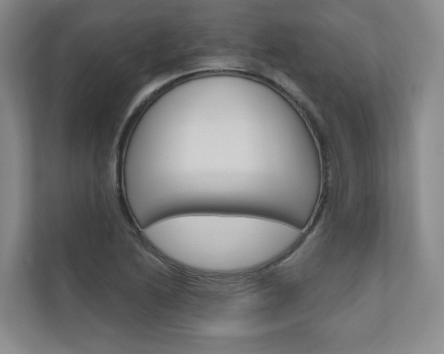 X0000110981222200906191044