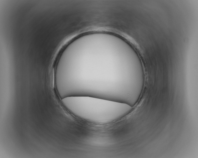 X0000110981223200906191044